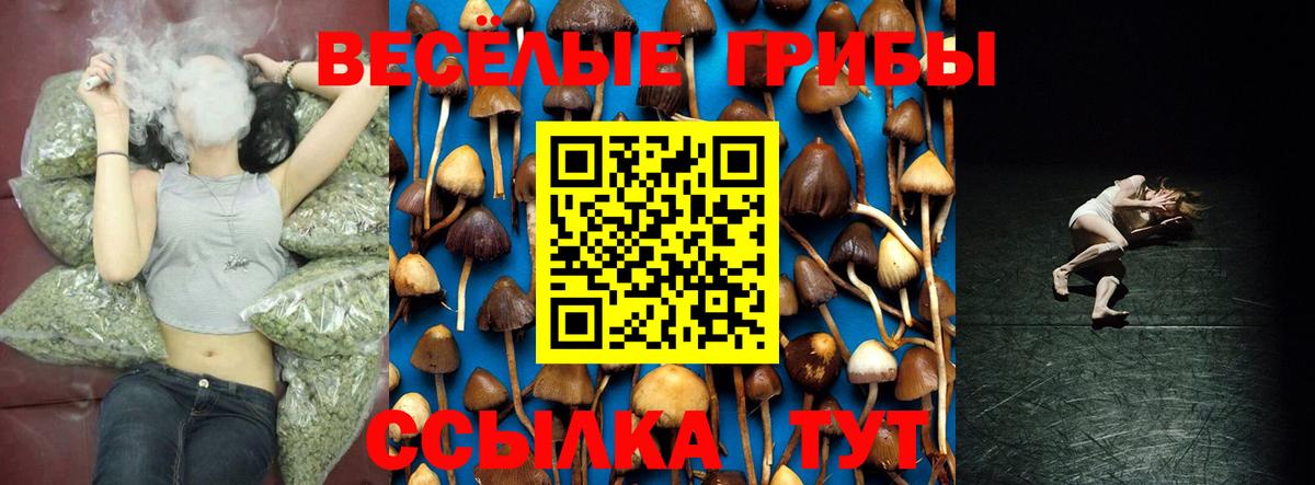 Псилоцибиновые грибы Psilocybine cubensis  Вход с VPN  Грозный  Псилоцибиновые грибы Magic Shrooms 